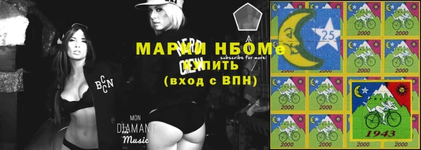 крисы Надым