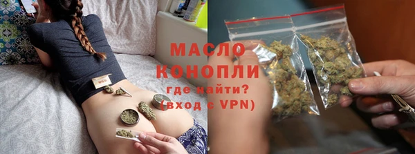 крисы Надым