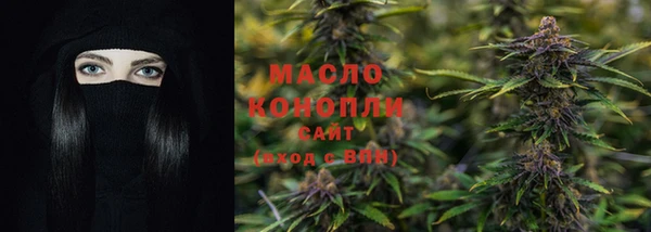 крисы Надым