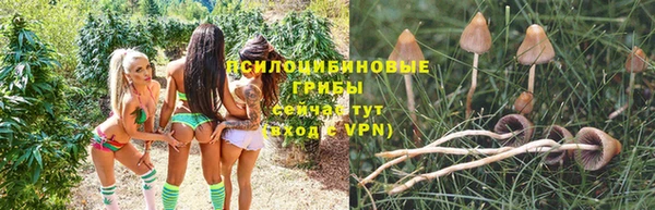 прущая мука Наволоки