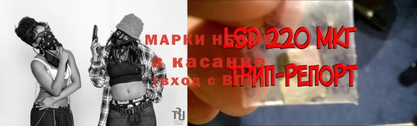крисы Надым