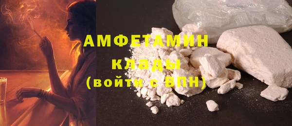 крисы Надым
