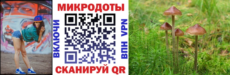 Купить закладки  Ирбит  Псилоцибиновые грибы мицелий 